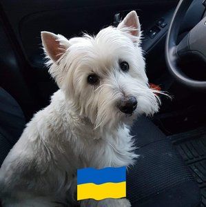 Meet your Posher, Adina